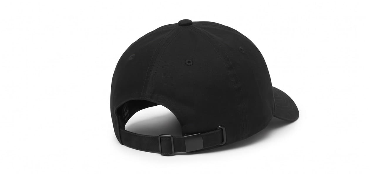Stash Embroidered Dad Hat — image 2
